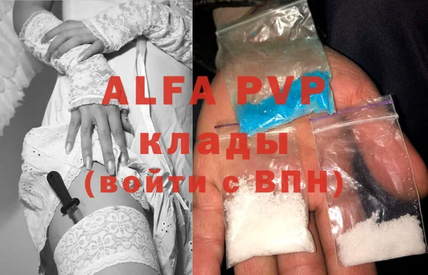 СК Инсар